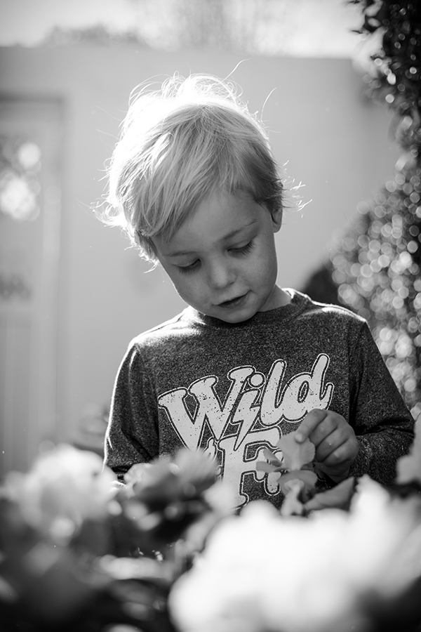boy picking flowers